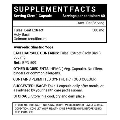 LIFENOW Tulsi (Tulasi) Extract Holy Basil Supplement, 500mg - 60 Vegetarian Capsules